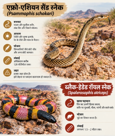 एफ्रो