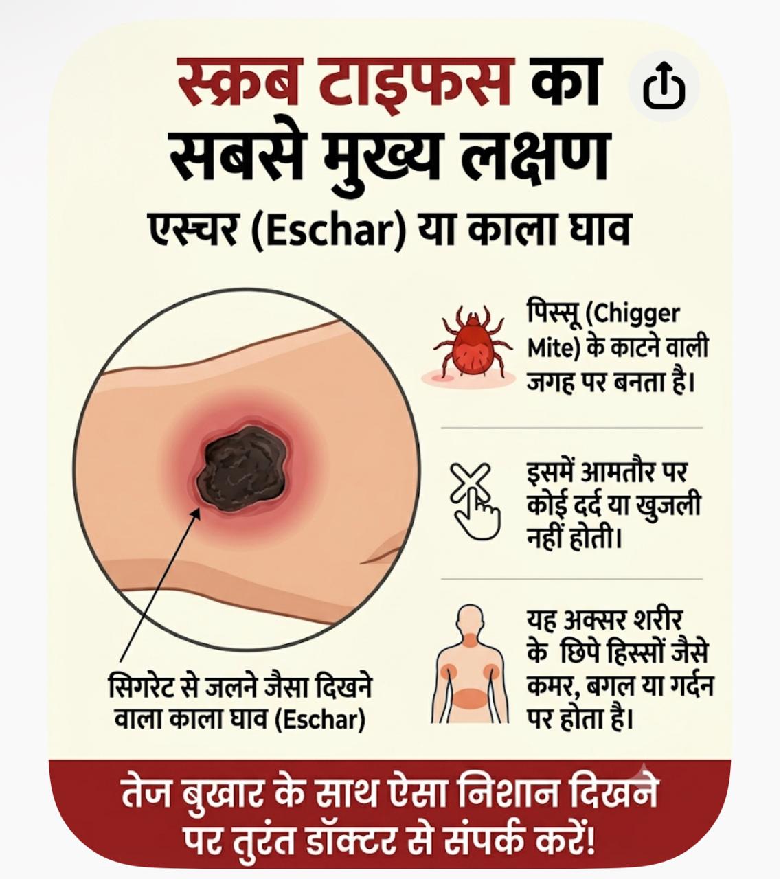 Scrub Typhus